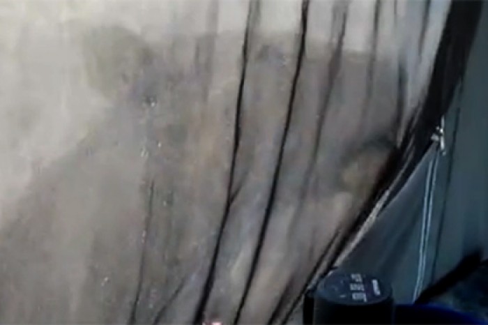 Турист в Ботсване проснулся в окружении изнывающих от жажды львиц