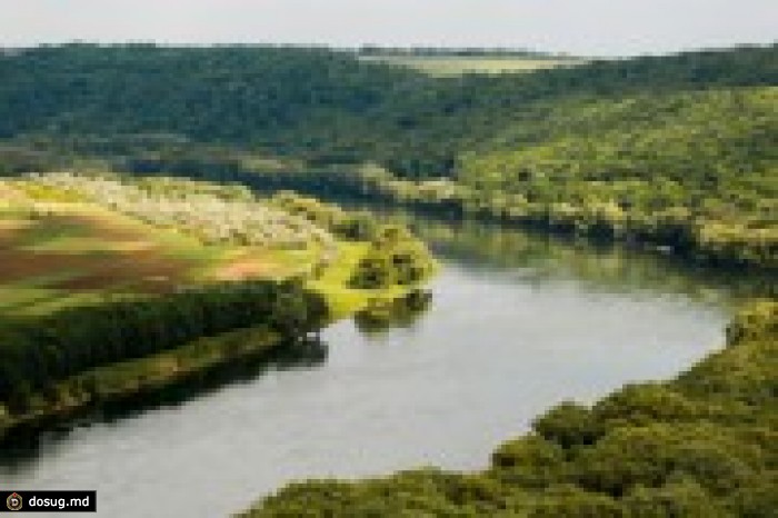 Уровень воды в Днестре опустился до критического уровня