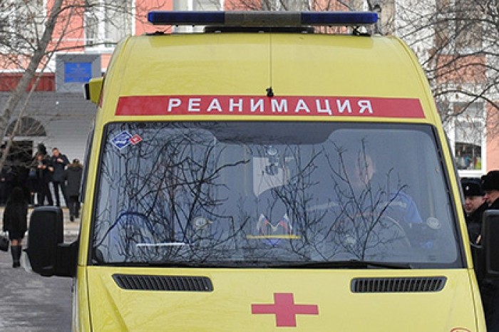 В Астрахани девочка погибла после укусов азиатской овчарки