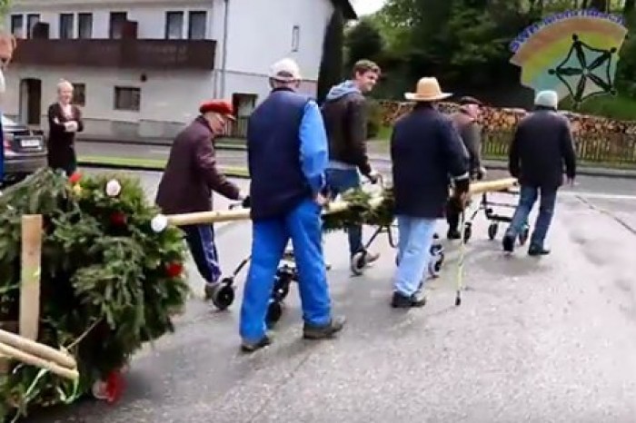 В Австрии жители дома престарелых украли свое же майское дерево