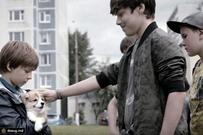 В ФАС признали рекламу собачьего корма Pedigree опасной для детей