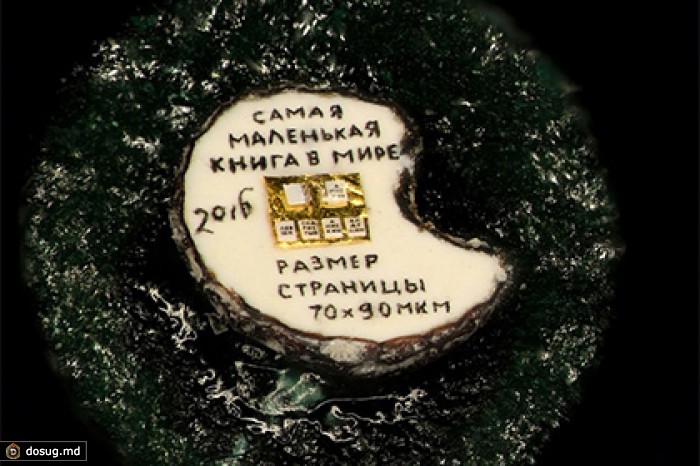 В Новосибирске создали самую маленькую в мире книгу