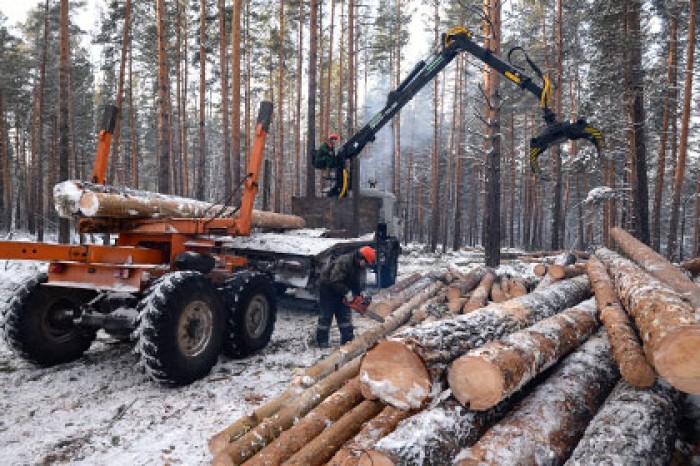 В Минпромторге обсудили развитие деревянного домостроения