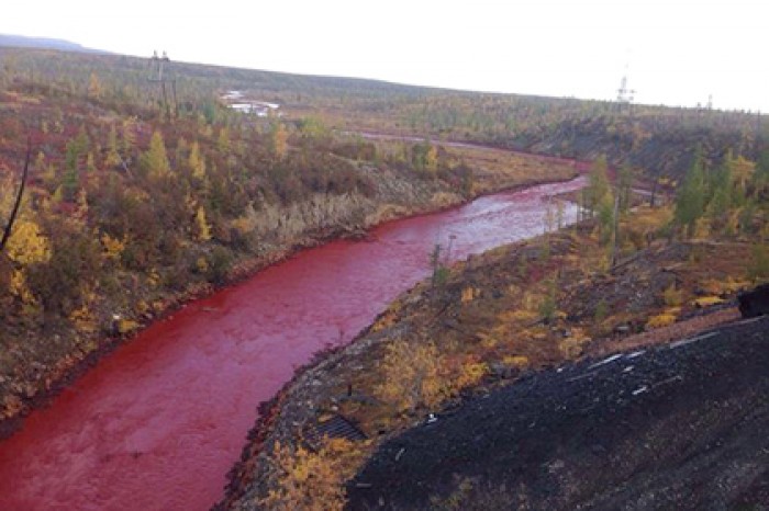 В «Норникеле» объяснили покраснение Далдыкана