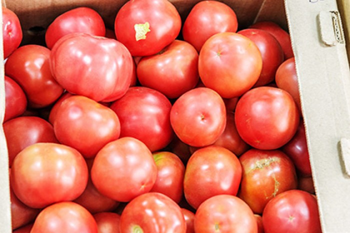 В Оренбургской области начали производить биотопливо из контрабандных продуктов