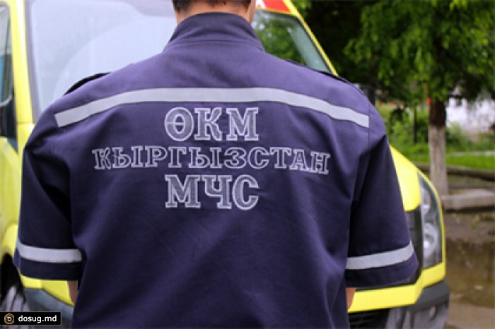 Восемь человек на юге Киргизии госпитализированы с подозрением на сибирскую язву