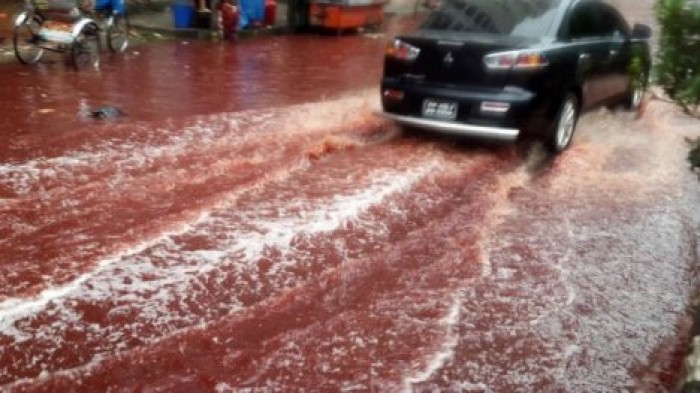 Врачи опасаются эпидемий после разлива окровавленной воды в Дакке