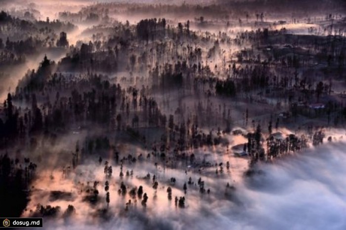 Высокий фокус: лучшие кадры фотоконкурса National Geographic