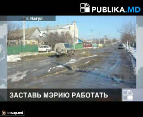 Приходите порыбачить на трассу улицы Пригорень