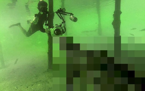 Бесстрашный фотограф