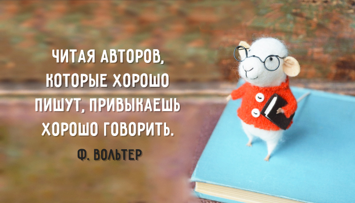20 самых интересных высказываний о пользе чтения