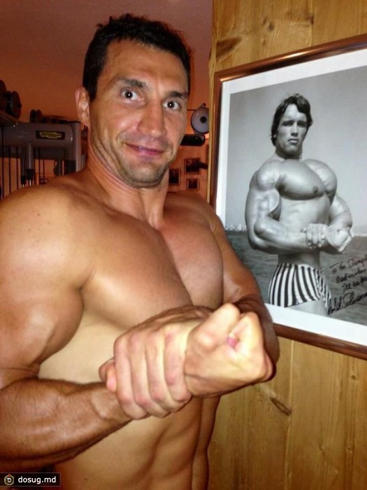 Кличко и Шварценеггер