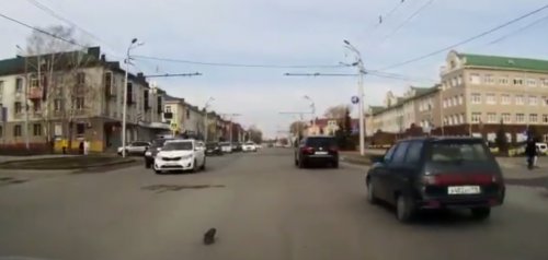 Чтобы спасти чью-то жизнь, не обязательно быть супергероем