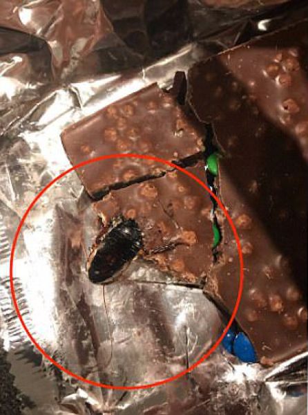 Сюрприз в австралийской шоколадке