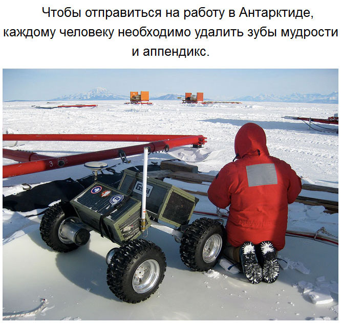Удивительные факты об Антарктиде