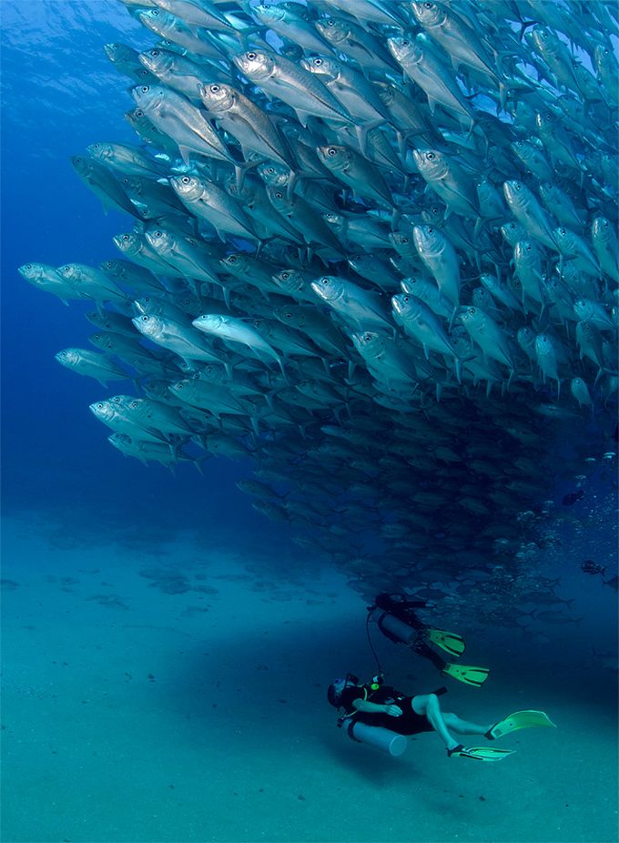 Морские картины