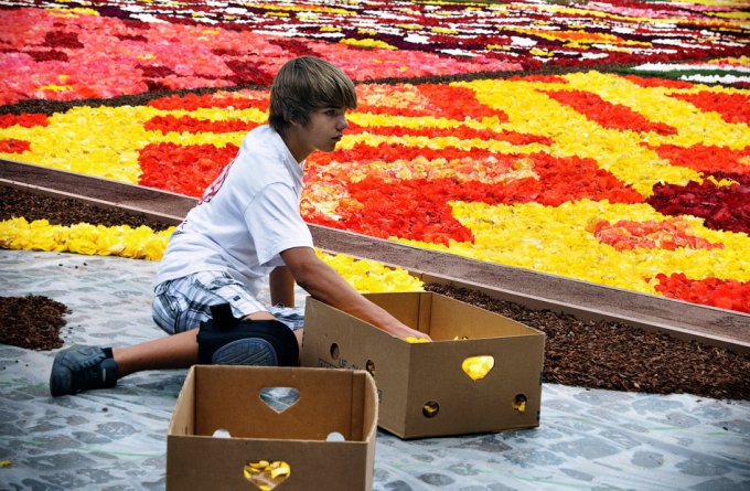 Большой ковер из бутонов бегоний на Grand place