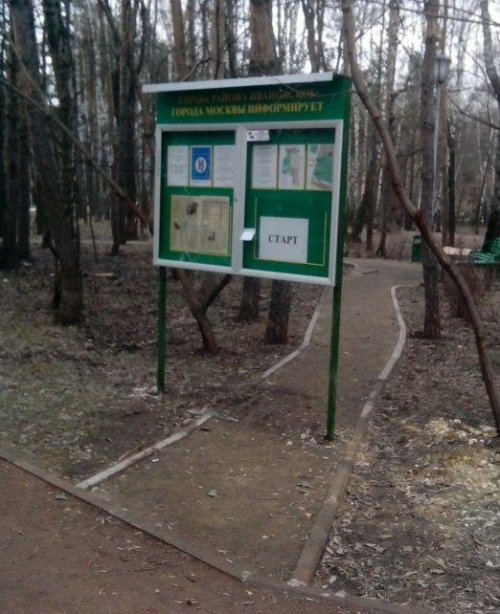 Маразмы и курьёзы вокруг нас
