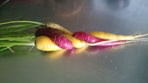 Плоды странной и забавной формы