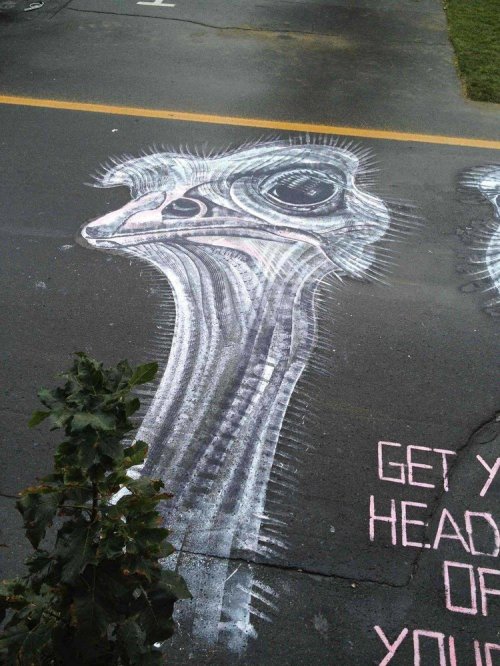 Стрит-арт художника Roadsworth