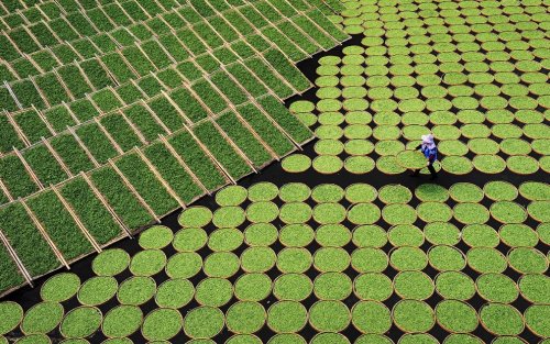 Фотоконкурс Sony World Photography Awards 2017