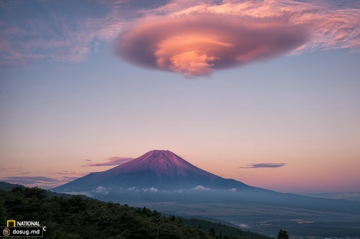 15 захватывающих снимков фотоконкурса National Geographic 2015