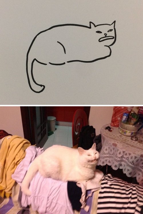 Плохо нарисованные кошки, которые очень похожи на настоящих