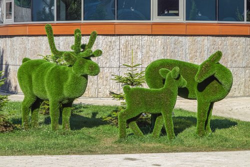 Потрясающие топиарные фигуры в парке "Зелёная планета" в Сочи