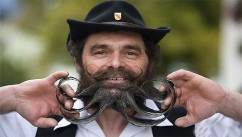 Смешные и причудливые бороды, которые вы ещё не видели