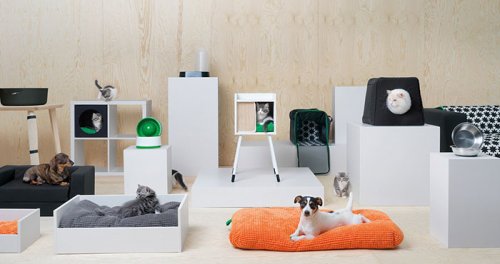 IKEA выпустила коллекцию мебели для домашних животных