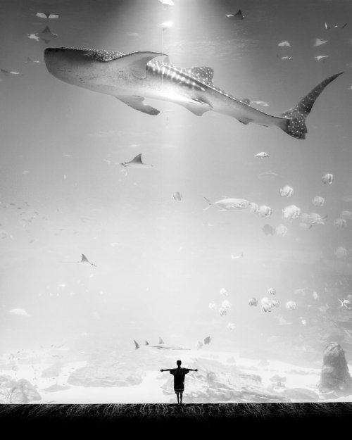 МногиеПотрясающие чёрно-белые снимки фотографа, у которого 1 миллион подписчиков в Instagram