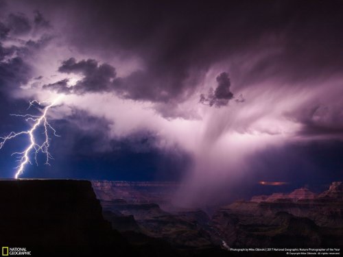 Победители фотоконкурса National Geographic Nature Photographer of the Year 2017