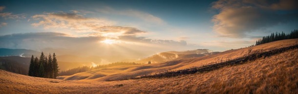 Википедия выбрала лучшие фото природы Украины