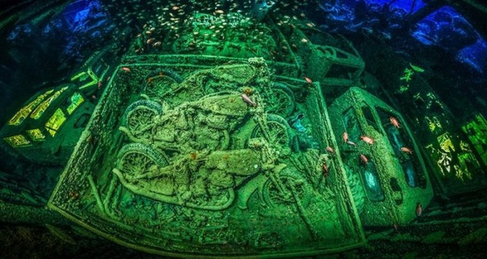 Лучшие подводные снимки 2018 года