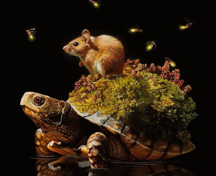Черепашьи экосистемы: работы Lisa Ericson
