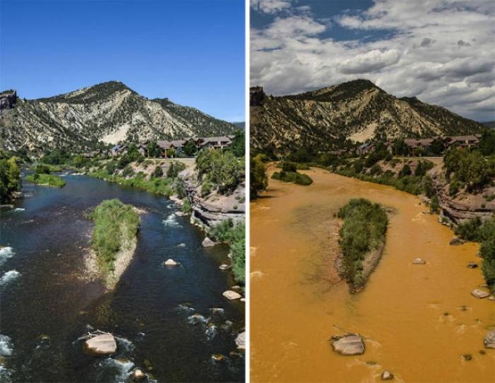 Фотографии от экологических организаций мира в стиле 10YearChallenge