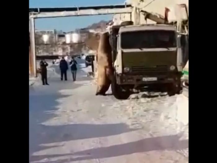 Когда ты голоден, страх уходит на второй план