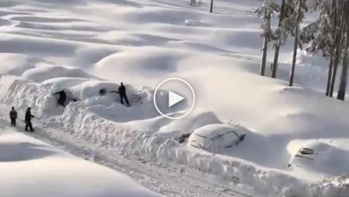 Тем временем в Канаде