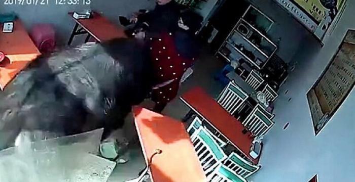 В Китае буйвол на всех парах ворвался в ресторан