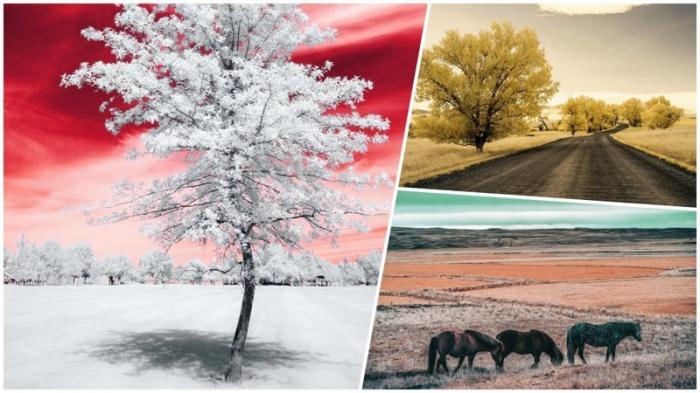 Инфракрасная фотография: когда обычные пейзажи превращаются в инопланетные