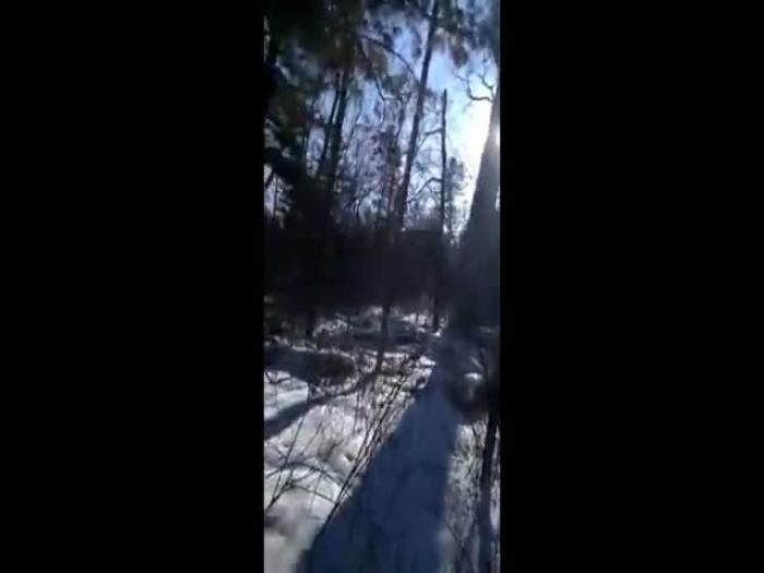 Разбудили впавшего в спячку медведя .