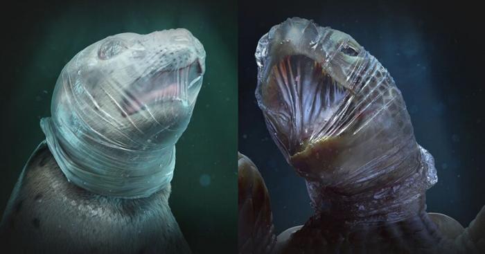 Общество охраны морской фауны показало животных, задыхающихся в пластике