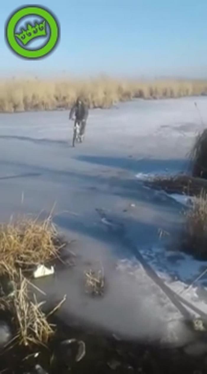 Только у меня мурашки?