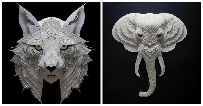 Портреты животных, оживающие в формате 3D-фотографий