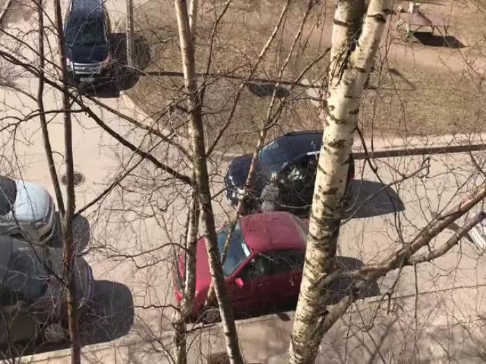 Упрямая мадам за рулем автомобиля