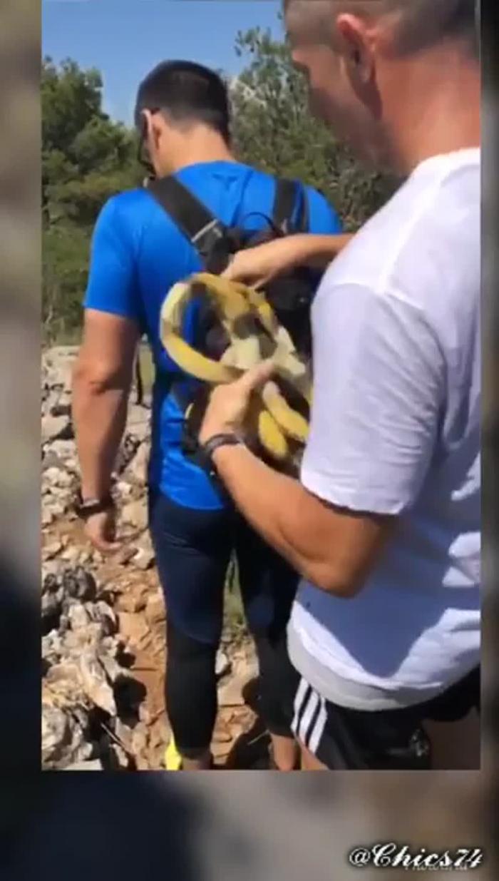 С такими друзьями всегда весело...