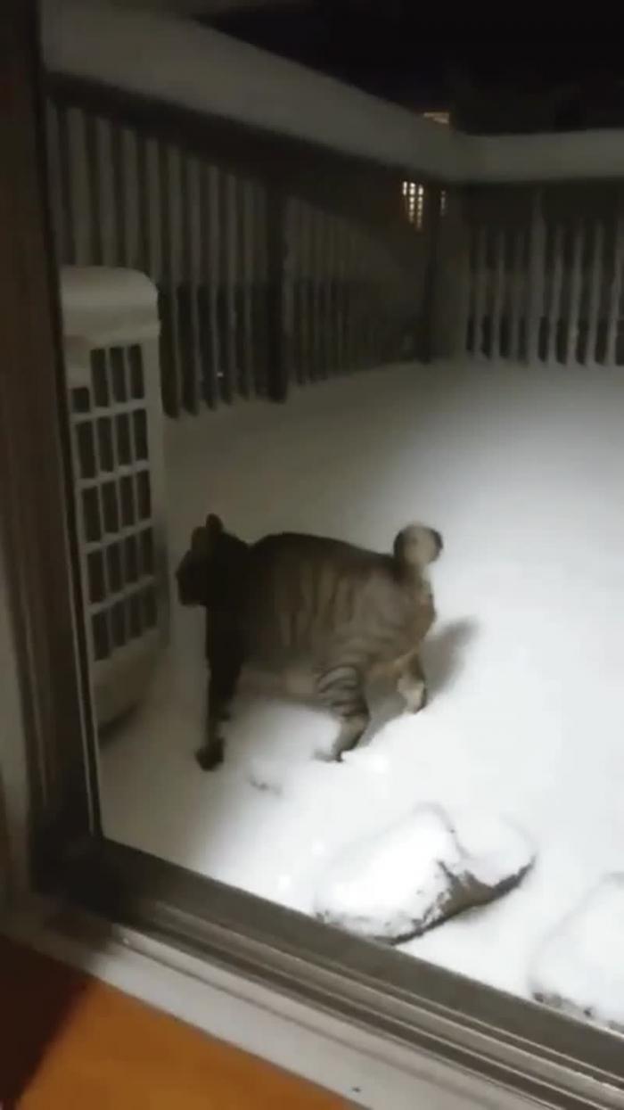 Свобода! Хотя, нет...