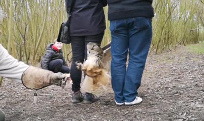 Невероятно грациозное создание