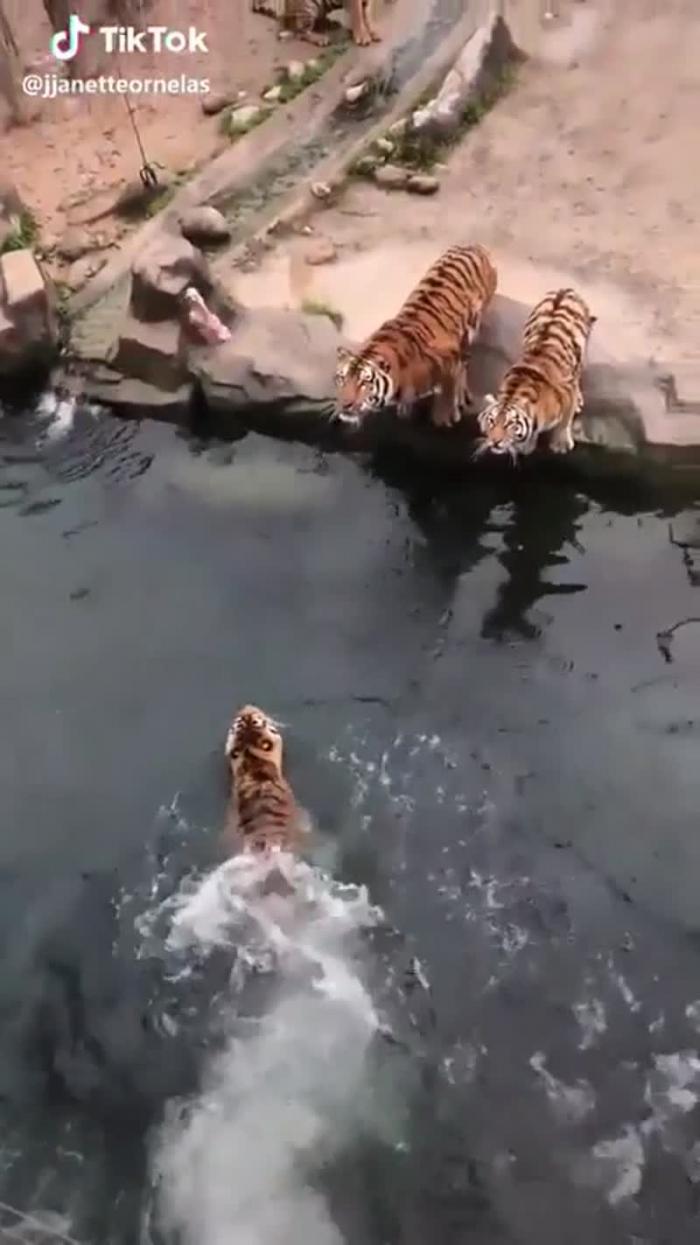 Время принимать ванну!