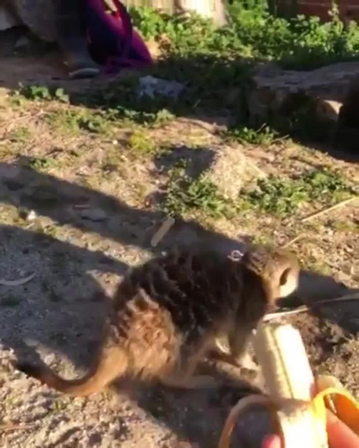 Благодарю, но я уже наелся
